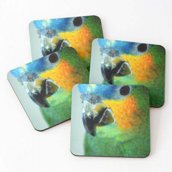 Item preview, Pretty Bird designed and sold by Angie Seiffert.