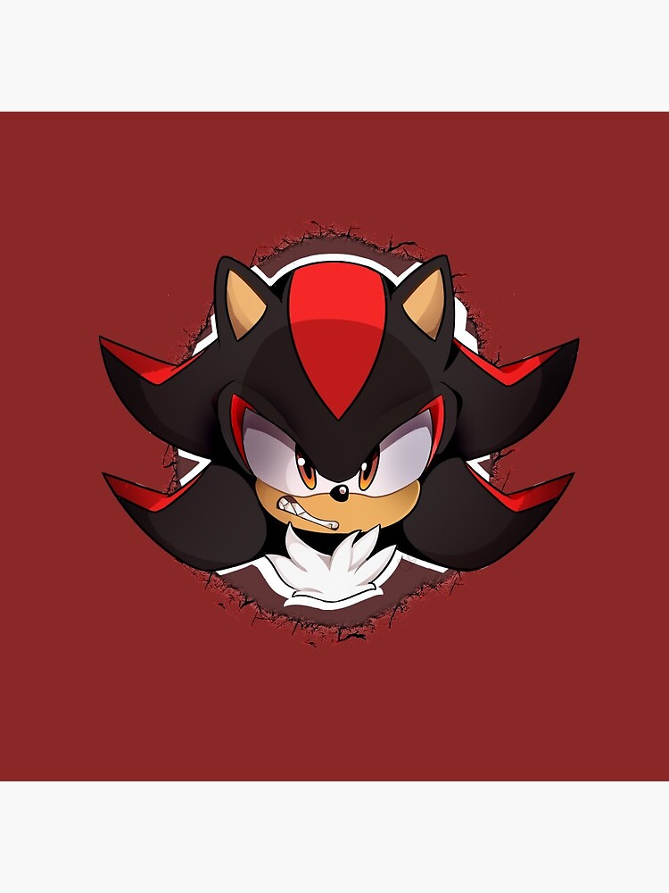 Pin on Sahdow the hedgehog