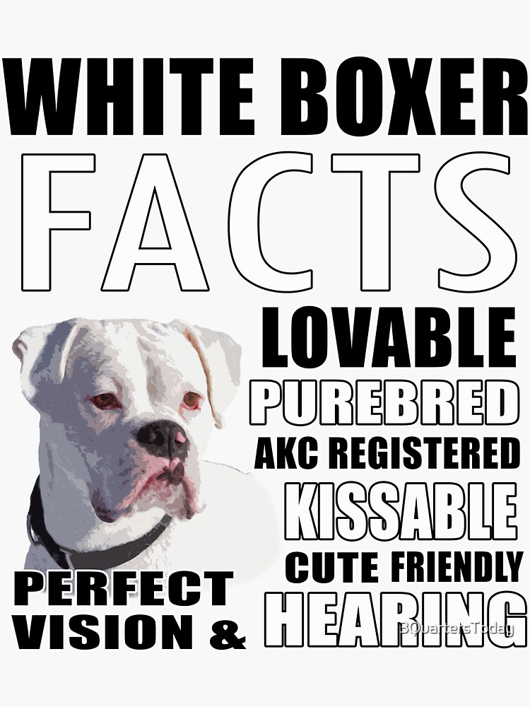 Facts About White Boxers Sticker for Sale by 3QuartersToday