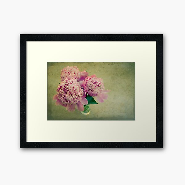 « The Peonies of the old lady » Framed Art Print