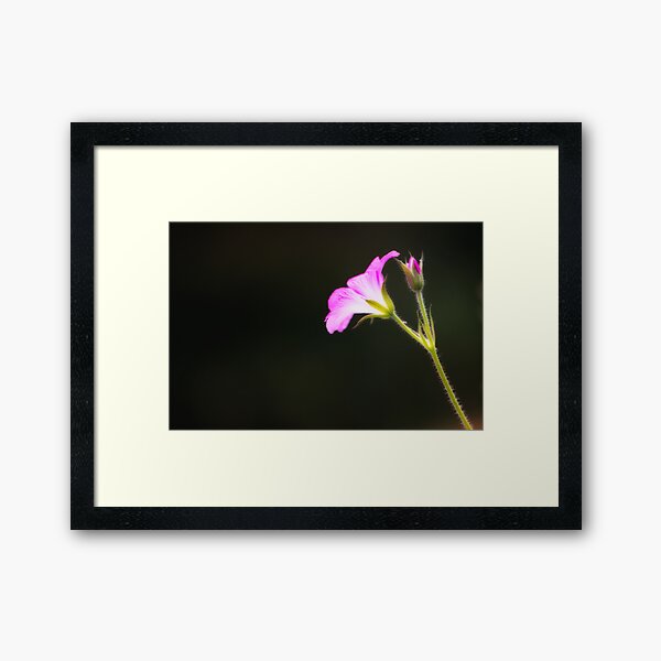 "Tenbosh Flower" Framed Art Print