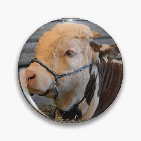 Item preview, Hereford Bull in straw bedding designed and sold by Random Railways.