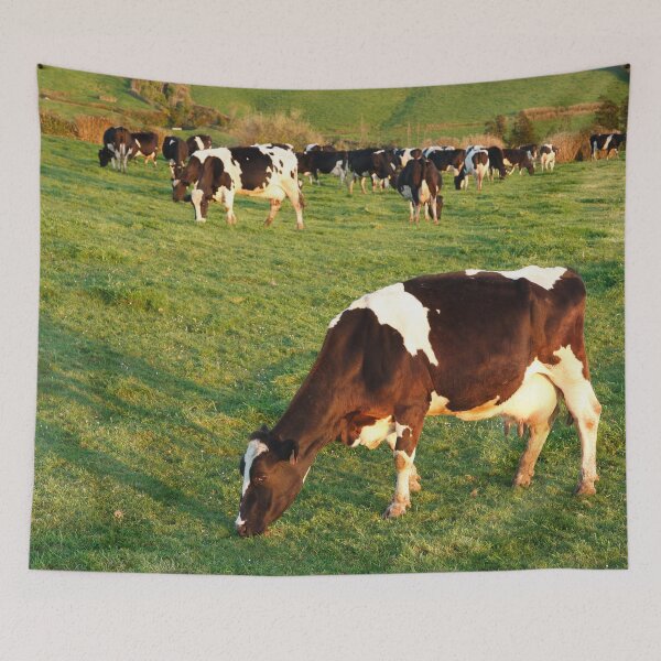 Item preview, Holstein cattle designed and sold by Gaspar Avila.
