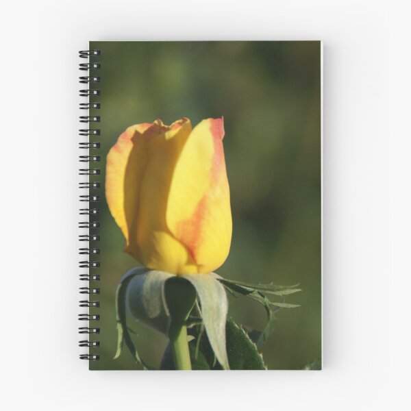 Item preview, Yellow Rose designed and sold by Monika's Shop.