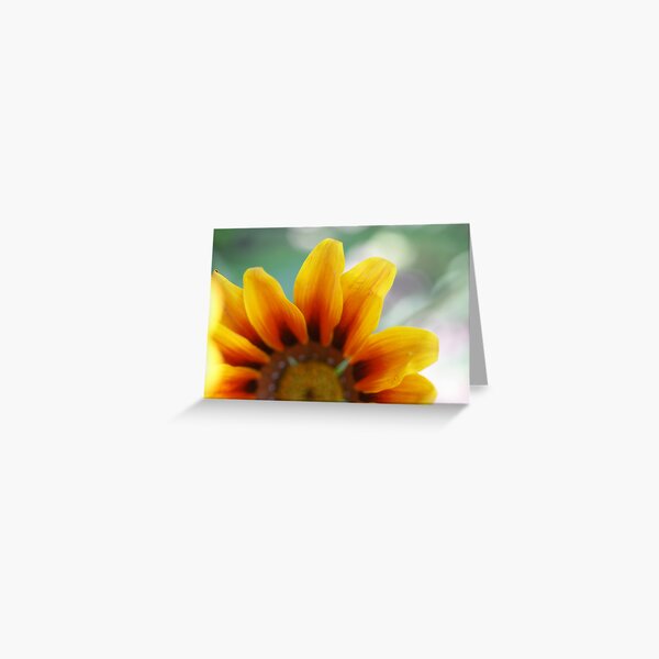 Miss Summer Greeting Card