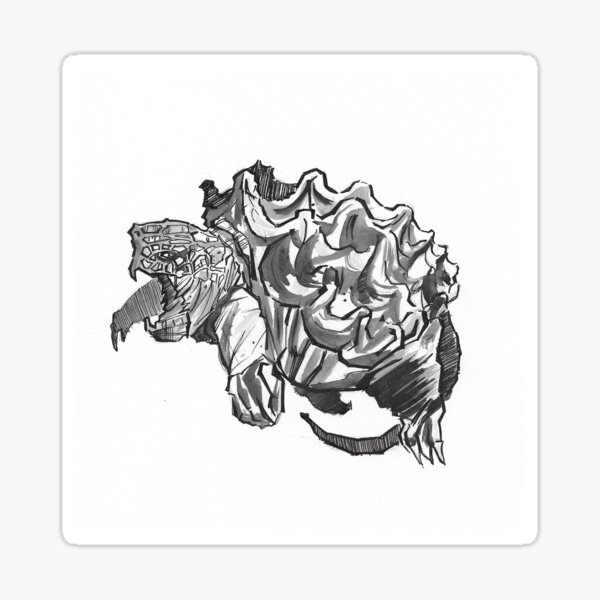 Snapping Turtle Gifts  Merchandise for Sale  Redbubble