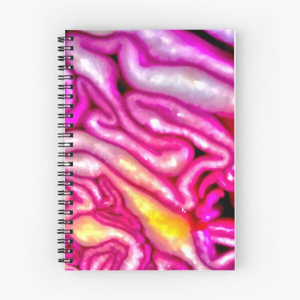Item preview, Food stuff Red Cabbage slice kitchen art designed and sold by Julieford.
