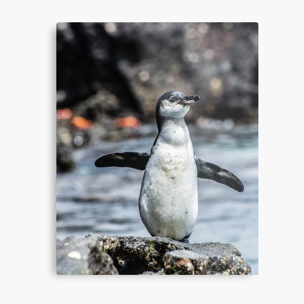 Welcome! Metal Print