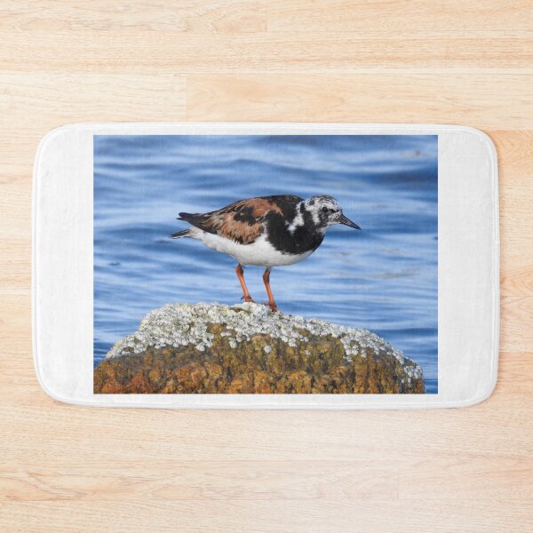 Item preview, Ruddy Turnstone designed and sold by 603crafttrends.