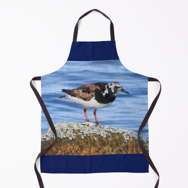 Item preview, Ruddy Turnstone designed and sold by 603crafttrends.