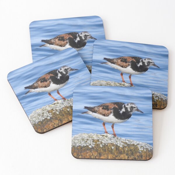 Item preview, Ruddy Turnstone designed and sold by 603crafttrends.