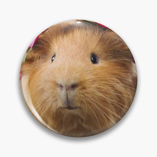 Item preview, Guinea Pig – Cavy Collection – Model 26 designed and sold by Coolstuff4you71.