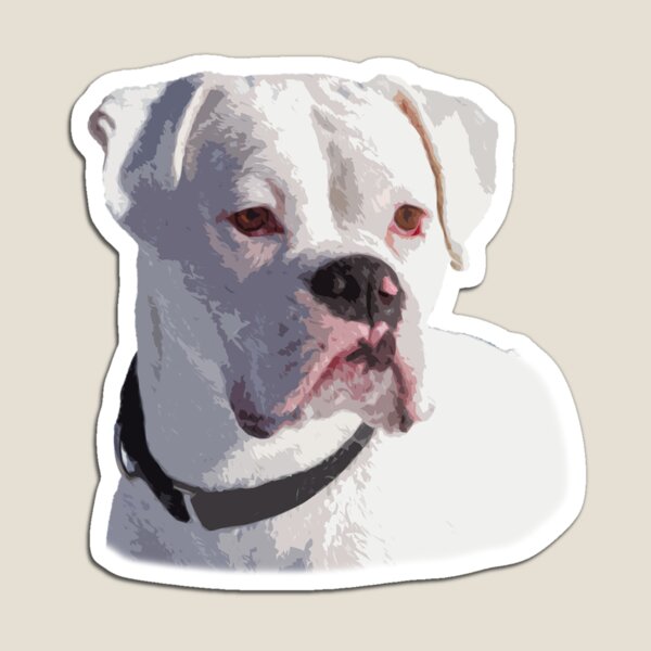 Item preview, All White Boxer Dog Portrait designed and sold by 3QuartersToday.