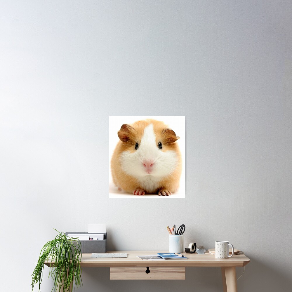 Item preview, Poster designed and sold by Coolstuff4you71.