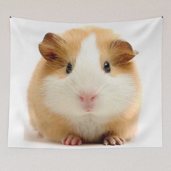 Artikelvorschau,  auch als Meerschweinchen oder Hausschweinchen bekannt entworfen und verkauft von Coolstuff4you71.