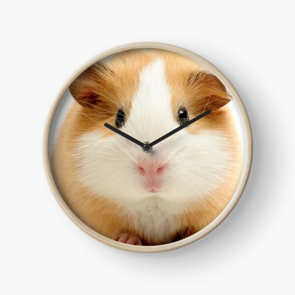 Item preview, Guinea Pig – Cavy Collection – Model 27 designed and sold by Coolstuff4you71.