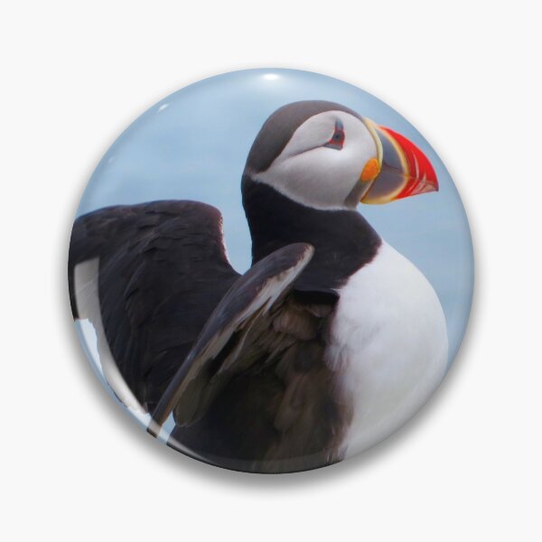 Item preview, Atlantic Puffin Wings Stretched designed and sold by 603crafttrends.