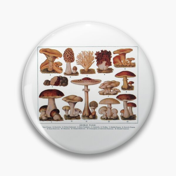 Item preview, Edible Mushroom/Fungi Chart designed and sold by reesls.