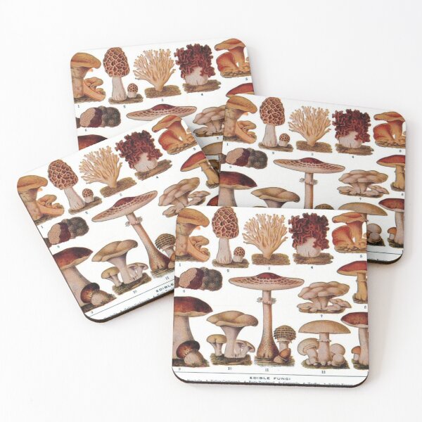 Item preview, Edible Mushroom/Fungi Chart designed and sold by reesls.
