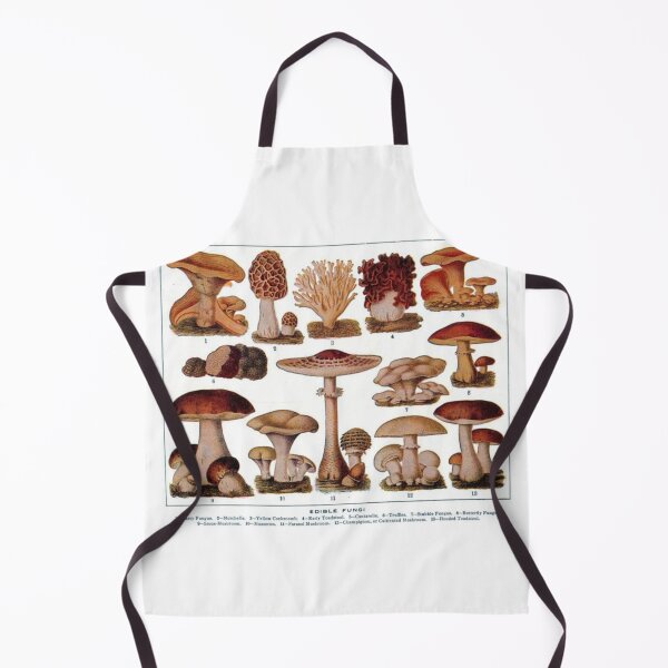 Item preview, Edible Mushroom/Fungi Chart designed and sold by reesls.