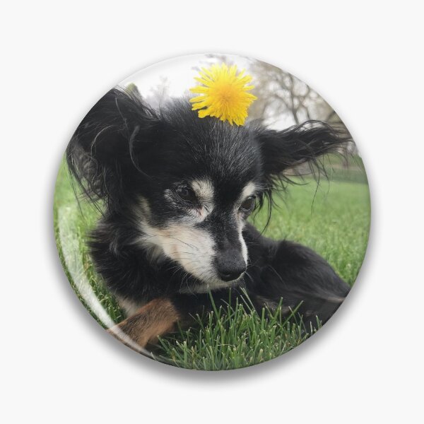 Item preview, Dandelion Dog designed and sold by Cayleb's Kindred Senior Dog Rescue.