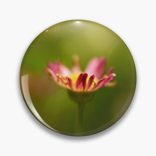 Item preview, Daisy daze  designed and sold by Helen  Kelly.