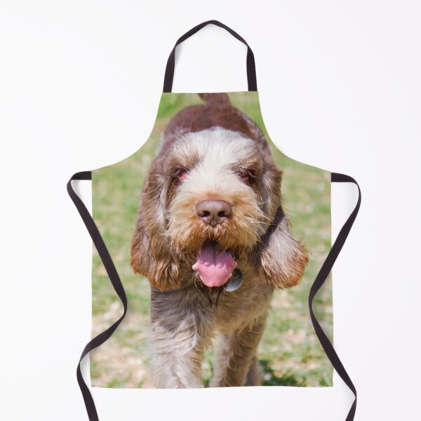 Item preview, Returning Spinone designed and sold by FOLK ART FUSION by heidiannemorris.