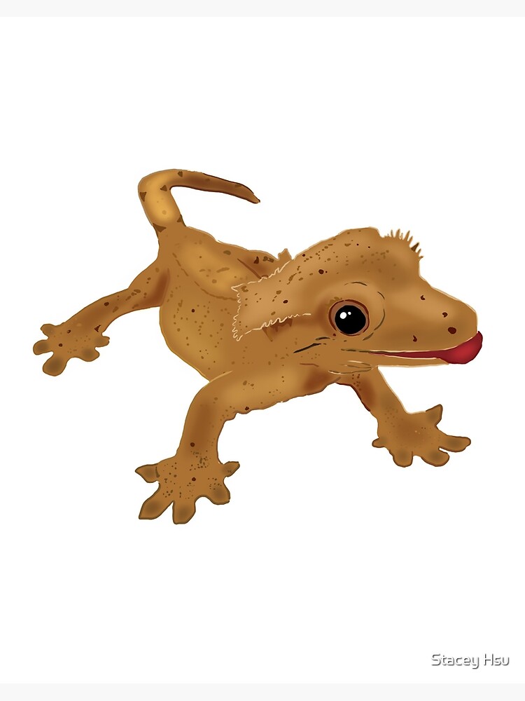 Cute Crested Gecko Drawing