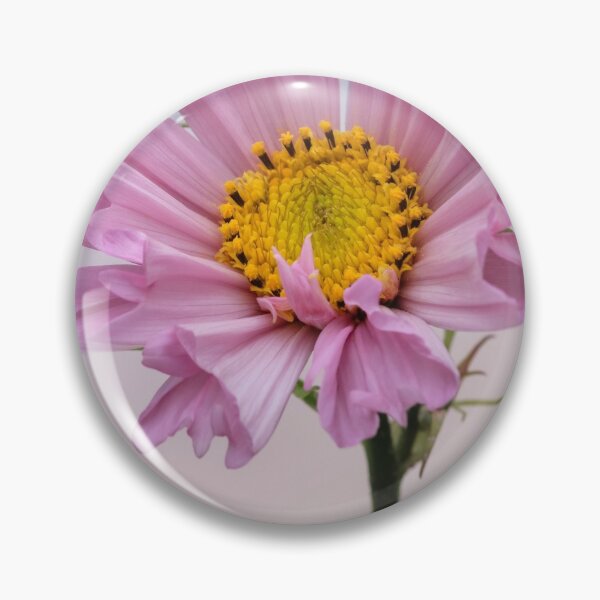 Item preview, Soft pink cosmos. designed and sold by John Ray.