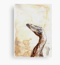 Troodon Canvas Print