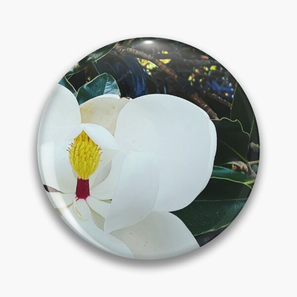 Aperçu de l'œuvre Magnolia du Texas en fleurs créée et vendue par EmmaLilStudio.