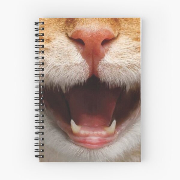 Item preview, Cool Gatos y Gatitos designed and sold by Mattyboosh.
