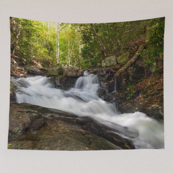 Item preview, Split Falls on Sand Spring Run 2 (2018) designed and sold by KPcaptures.