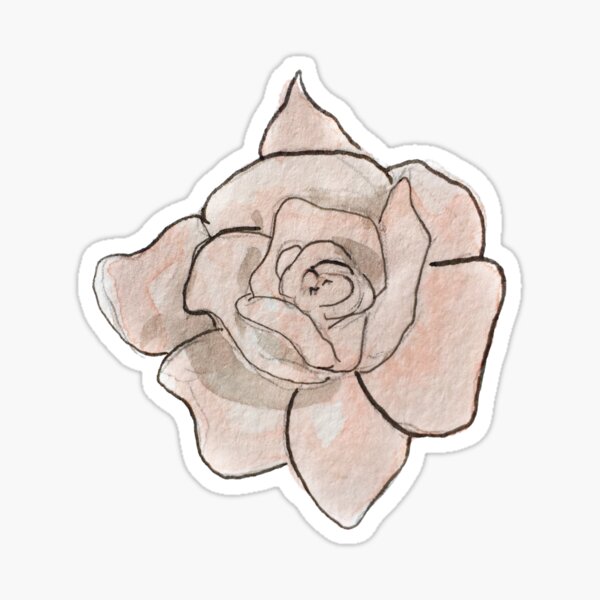 Pink Rose Illustration in Watercolor Sticker