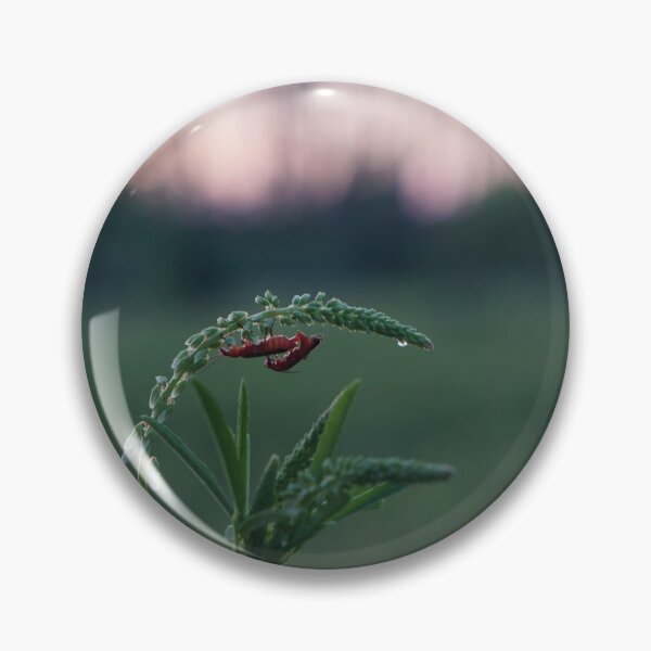 Item preview, red soldier beetles mating designed and sold by distracted.