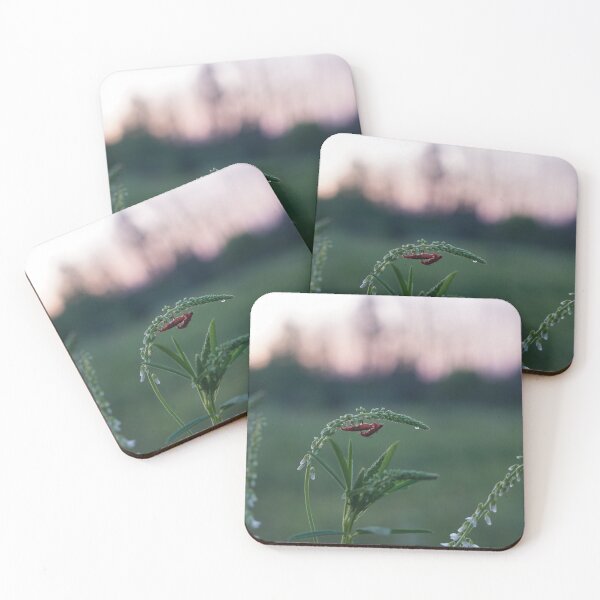 Item preview, red soldier beetles mating designed and sold by distracted.