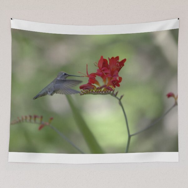 Item preview, 850_5917 designed and sold by wgcosby.