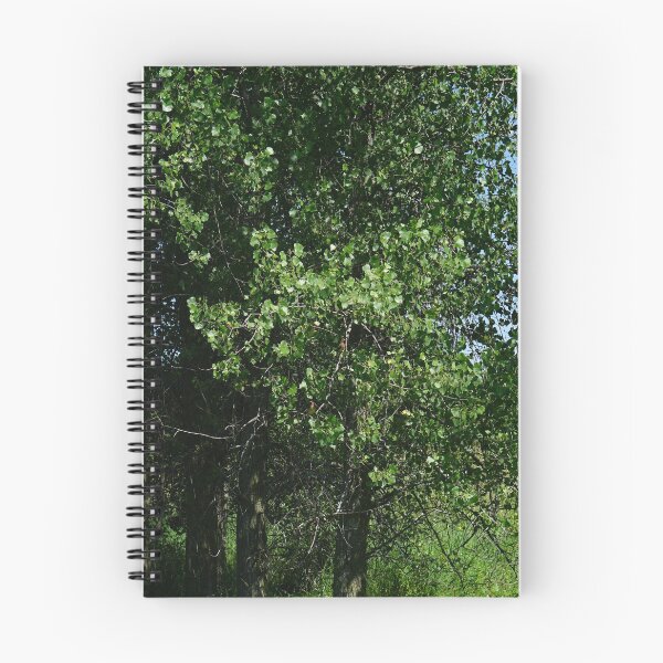 Item preview, cedar waxwing in poplars designed and sold by distracted.