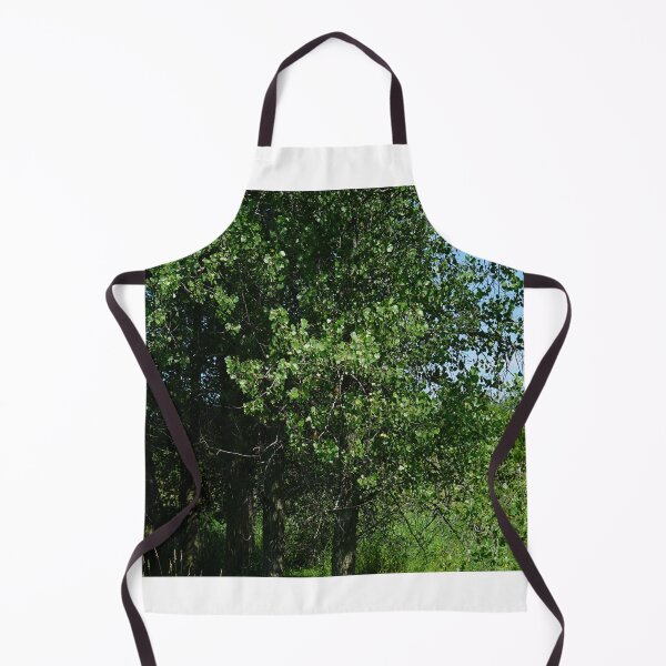 Item preview, cedar waxwing in poplars designed and sold by distracted.