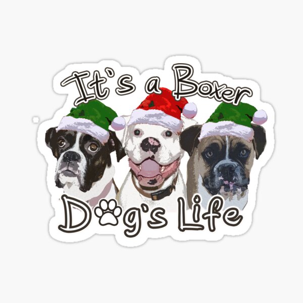 "Christmas Boxer Dog Life" Sticker for Sale by 3QuartersToday Redbubble