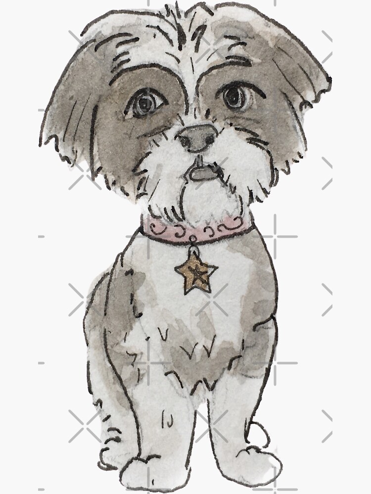 Small Black & White Dog with Star Collar Illustration in Watercolor by WitchofWhimsy