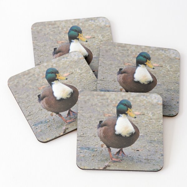 Item preview, Domestic Bibbed (Duclair) Mallard Odd Duck designed and sold by walkswithnature.