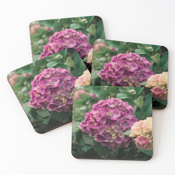 Item preview, Beautiful Pink Hydrangea Flower Garden  designed and sold by newburyboutique.