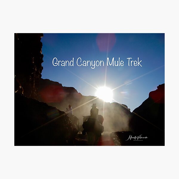 Item preview, Grand Canyon Mule Trek designed and sold by Marielle Valenzuela.