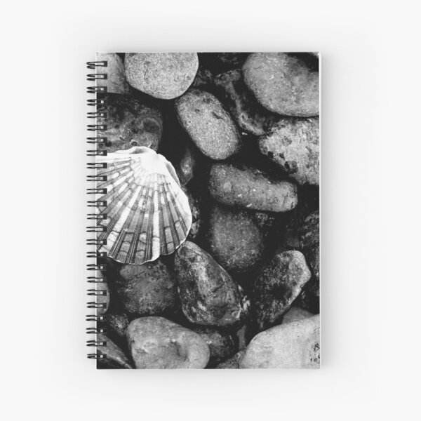 Shell on Pebbles Spiral Notebook