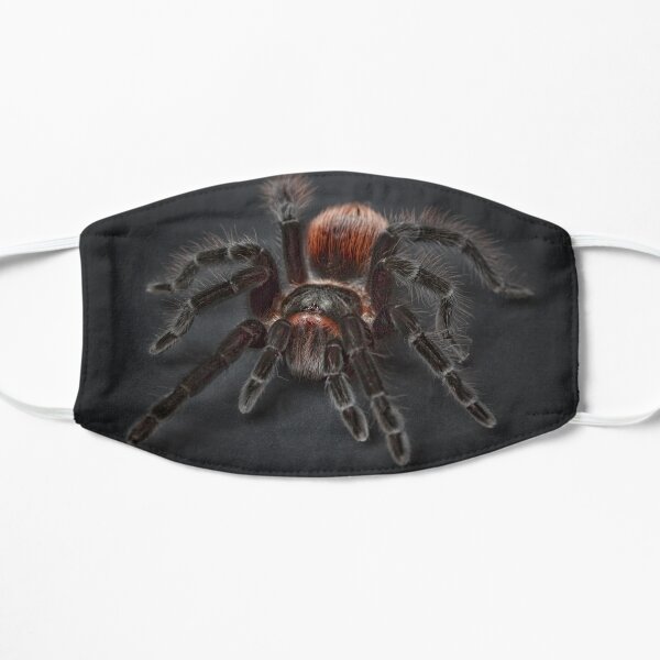 Tarantula Socks Mask