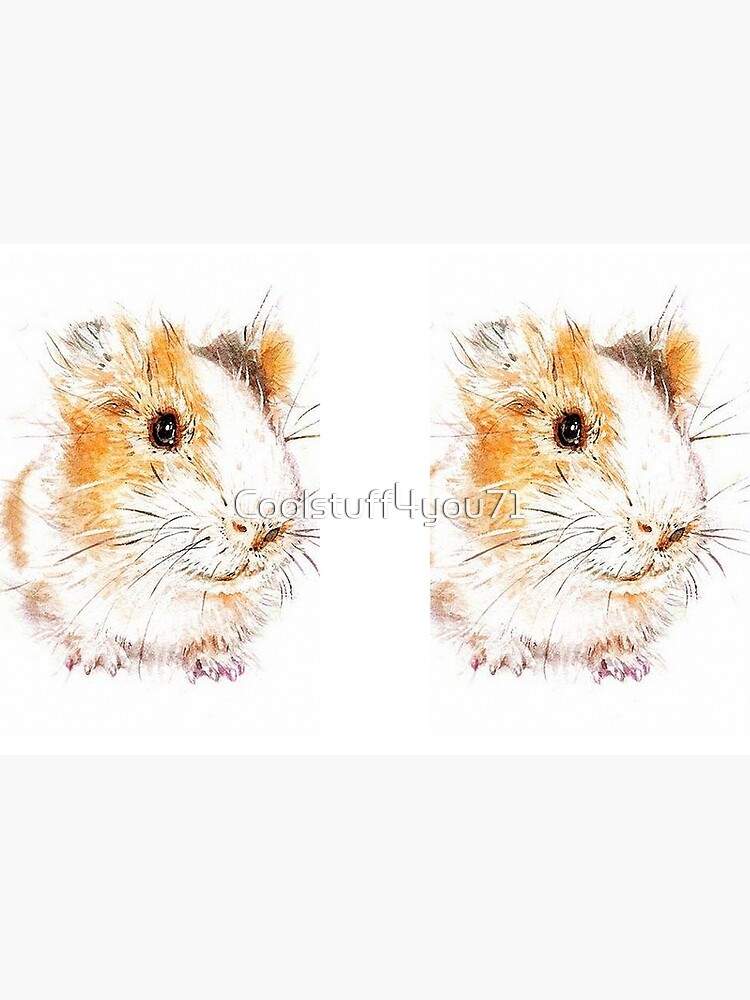 Guinea Pig – Cavy Collection – Model 36