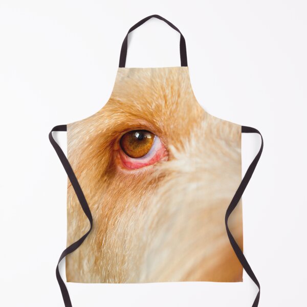 Item preview, Eye Spy Spinone designed and sold by FOLK ART FUSION by heidiannemorris.