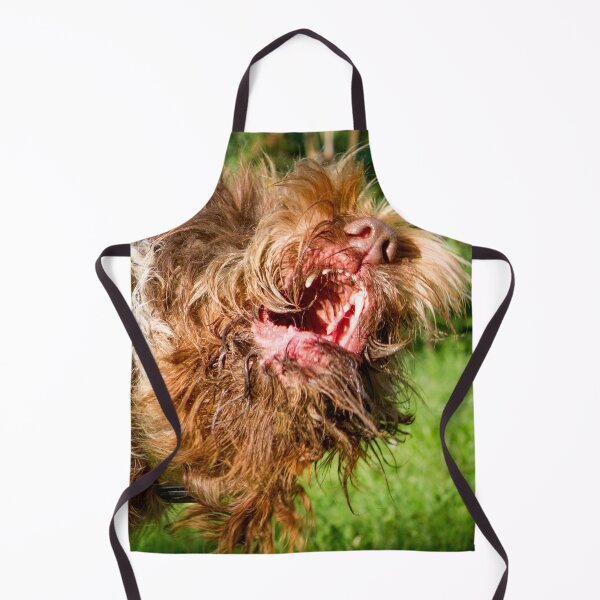 Item preview, Italian Spinone Play Fight by heidiannemorris designed and sold by FOLK ART FUSION by heidiannemorris.