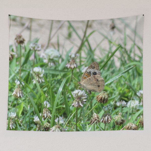 Item preview, Buckeye Butterfly designed and sold by Frankie Cat Photography.